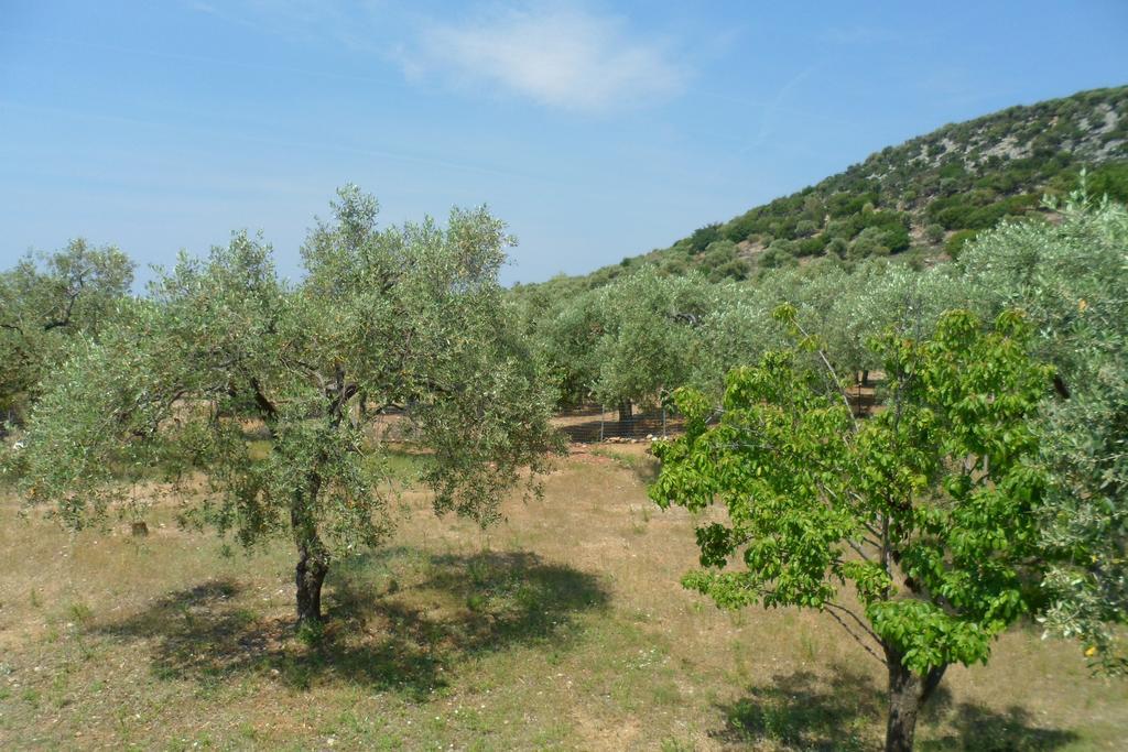 Lonely House Villa Astris Exterior foto